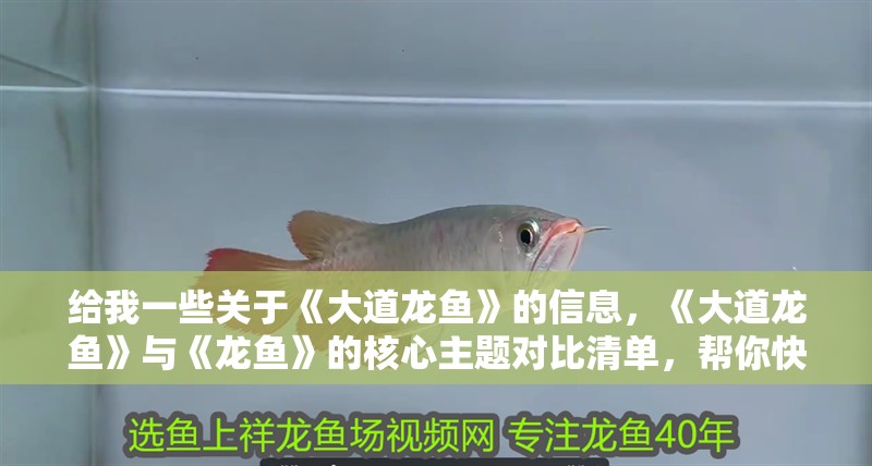 給我一些關于《大道龍魚》的信息，《大道龍魚》與《龍魚》的核心主題對比清單，幫你快速判斷哪本更合你口味