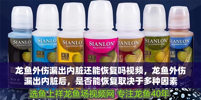 龍魚外傷漏出內(nèi)臟還能恢復(fù)嗎視頻,龍魚外傷漏出內(nèi)臟后,是否能恢復(fù)取決于多種因素