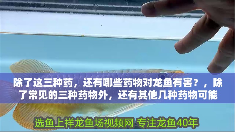 除了這三種藥，還有哪些藥物對龍魚有害？，除了常見的三種藥物外，還有其他幾種藥物可能會對龍魚造成危害