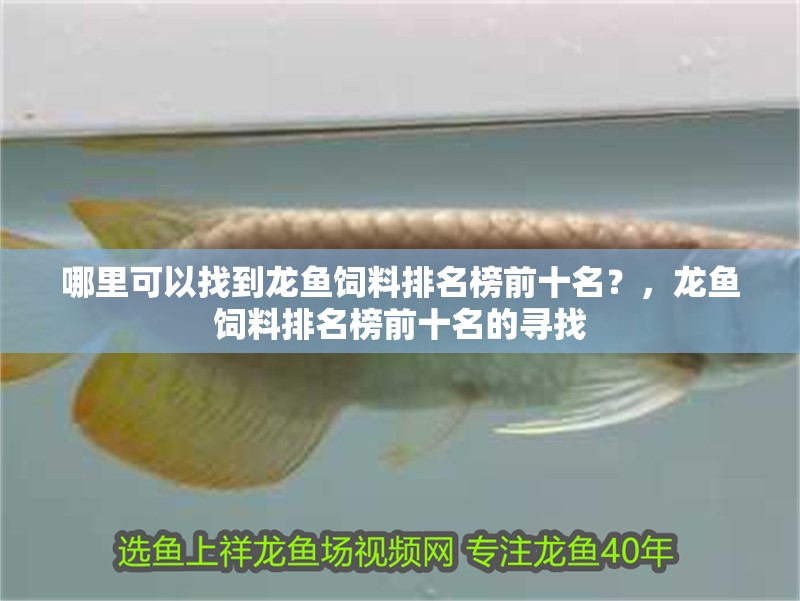 哪里可以找到龍魚飼料排名榜前十名？，龍魚飼料排名榜前十名的尋找