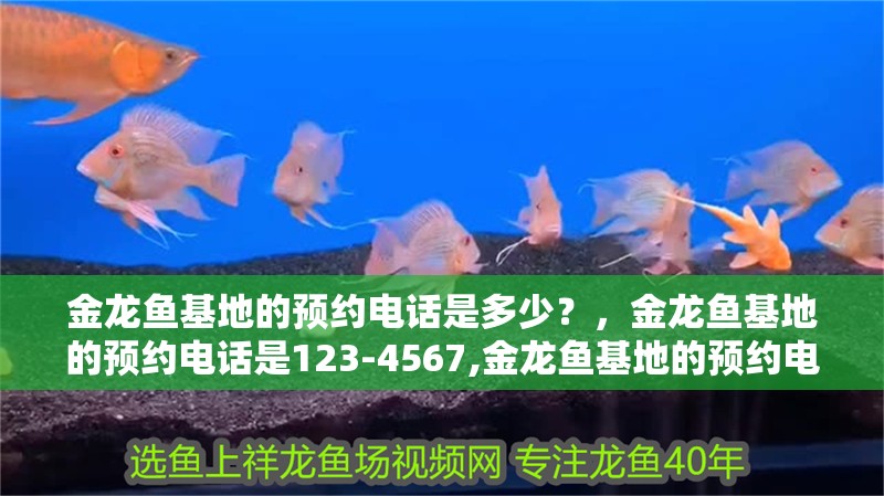 金龍魚基地的預約電話是多少?,金龍魚基地的預約電話是123-4567,金龍魚基地的預約電話是多少