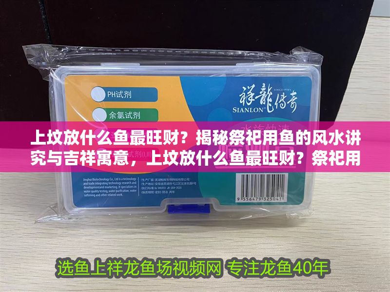 上墳放什么魚最旺財？揭秘祭祀用魚的風水講究與吉祥寓意，上墳放什么魚最旺財？祭祀用魚的風水講究與吉祥寓意全解析