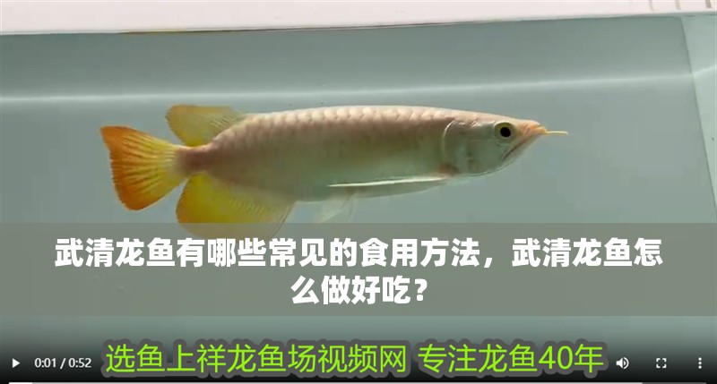 武清龍魚有哪些常見的食用方法，武清龍魚怎么做好吃？