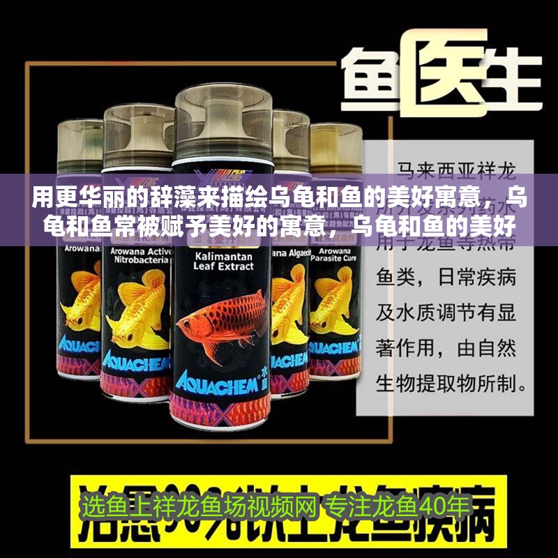 用更華麗的辭藻來描繪烏龜和魚的美好寓意，烏龜和魚常被賦予美好的寓意，烏龜和魚的美好寓意