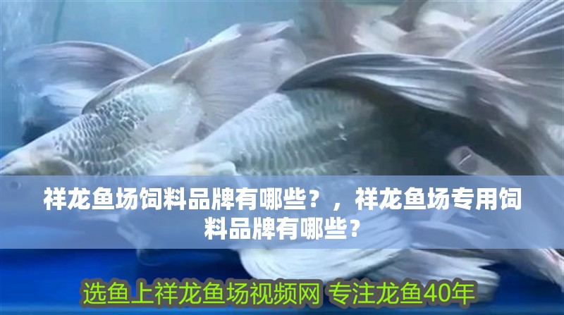 祥龍魚場飼料品牌有哪些？，祥龍魚場專用飼料品牌有哪些？