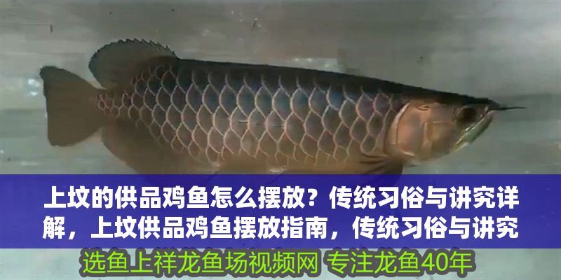 上墳的供品雞魚怎么擺放？傳統習俗與講究詳解，上墳供品雞魚擺放指南，傳統習俗與講究全解析