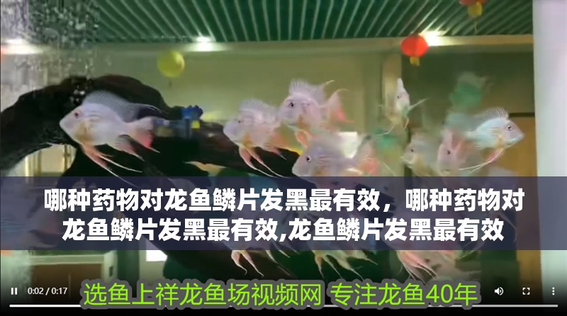 哪種藥物對龍魚鱗片發黑最有效，哪種藥物對龍魚鱗片發黑最有效,龍魚鱗片發黑最有效