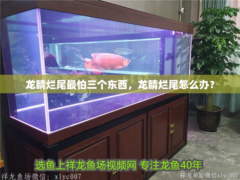 龍睛爛尾最怕三個東西,龍睛爛尾怎么辦?
