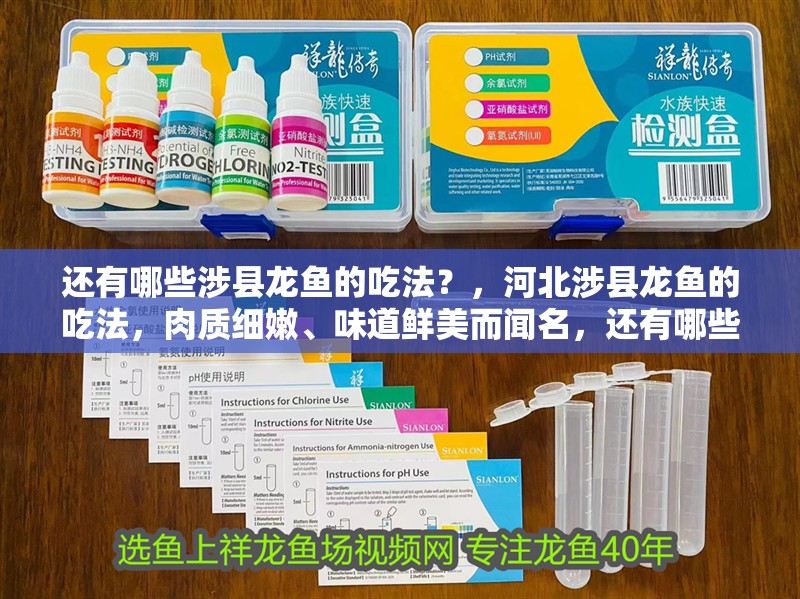 還有哪些涉縣龍魚的吃法？，河北涉縣龍魚的吃法，肉質細嫩、味道鮮美而聞名，還有哪些吃法