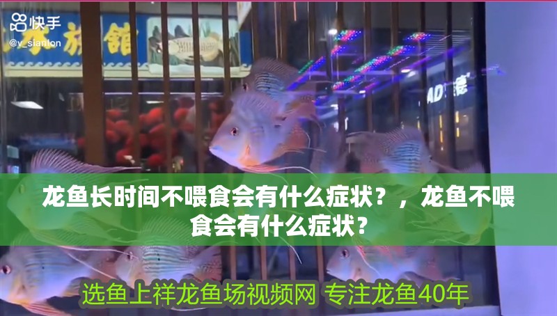 龍魚長時(shí)間不喂食會有什么癥狀？，龍魚不喂食會有什么癥狀？