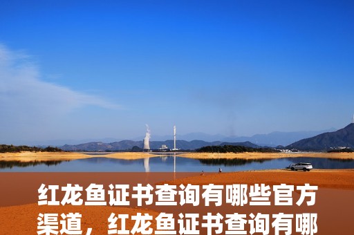 紅龍魚證書查詢有哪些官方渠道，紅龍魚證書查詢有哪些官方渠道紅龍魚證書查詢有哪些官方渠道