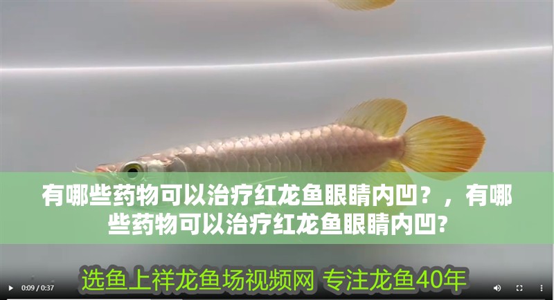 有哪些藥物可以治療紅龍魚眼睛內(nèi)凹？，有哪些藥物可以治療紅龍魚眼睛內(nèi)凹?