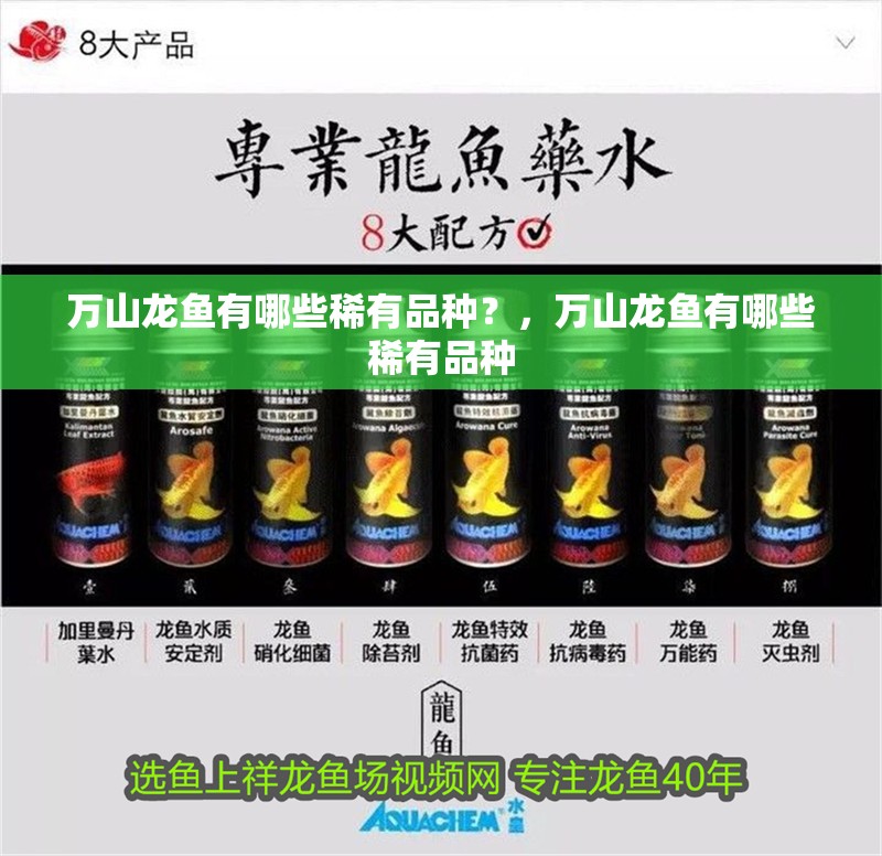 萬山龍魚有哪些稀有品種?,萬山龍魚有哪些稀有品種