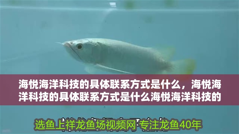 海悅海洋科技的具體聯系方式是什么，海悅海洋科技的具體聯系方式是什么海悅海洋科技的具體聯系方式