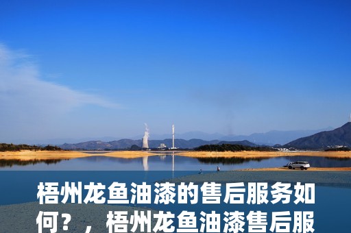 梧州龍魚(yú)油漆的售后服務(wù)如何?,梧州龍魚(yú)油漆售后服務(wù)如何?