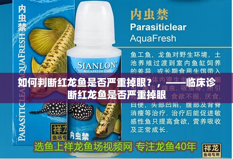 如何判斷紅龍魚是否嚴(yán)重掉眼？，——臨床診斷紅龍魚是否嚴(yán)重掉眼