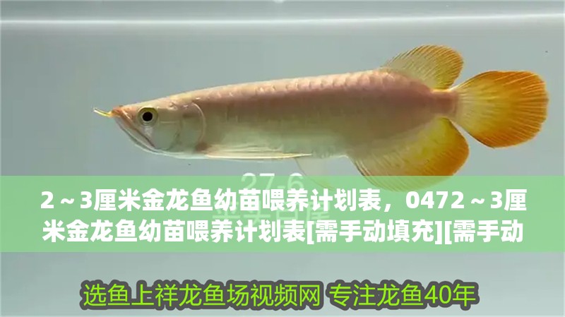 2～3厘米金龍魚幼苗喂養計劃表，0472～3厘米金龍魚幼苗喂養計劃表[需手動填充][需手動填充]厘米金龍魚幼苗喂養計劃表