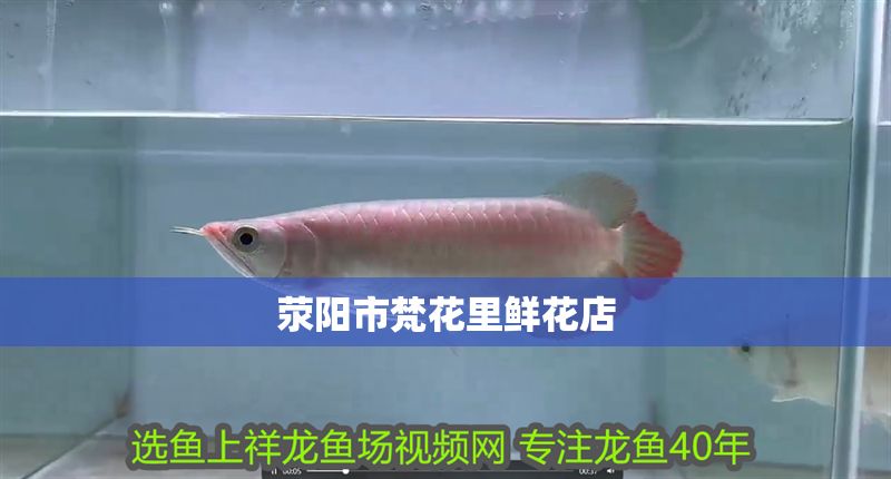 滎陽市梵花里鮮花店