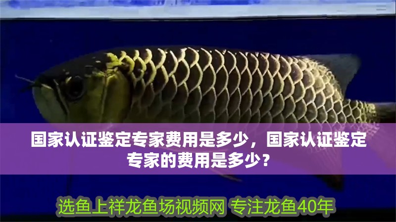 國家認證鑒定專家費用是多少，國家認證鑒定專家的費用是多少？