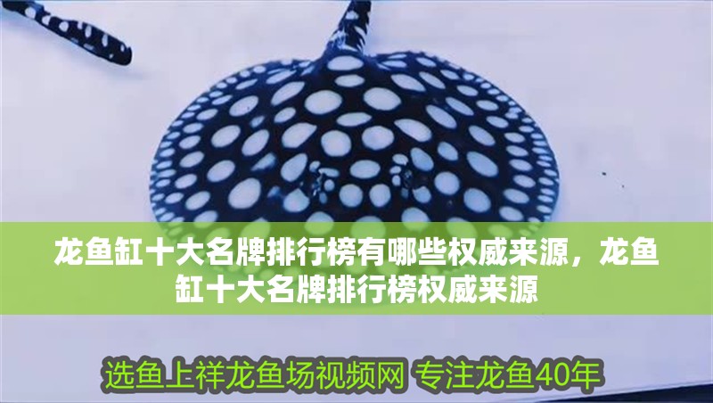龍魚缸十大名牌排行榜有哪些權威來源,龍魚缸十大名牌排行榜權威來源