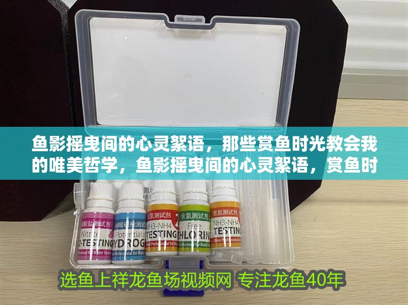 魚影搖曳間的心靈絮語，那些賞魚時光教會我的唯美哲學，魚影搖曳間的心靈絮語，賞魚時光里的唯美哲學啟示