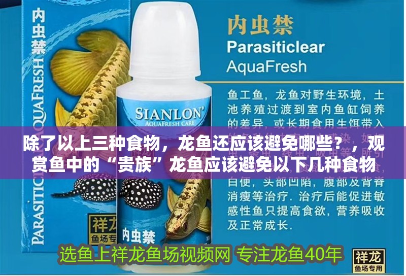除了以上三種食物,龍魚還應該避免哪些?,觀賞魚中的“貴族”龍魚應該避免以下幾種食物,龍魚應該避免