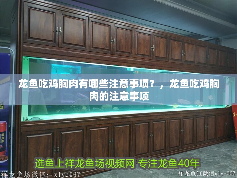 龍魚吃雞胸肉有哪些注意事項(xiàng)?,龍魚吃雞胸肉的注意事項(xiàng)