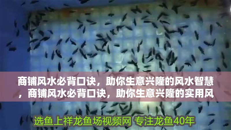 商鋪風水必背口訣，助你生意興隆的風水智慧，商鋪風水必背口訣，助你生意興隆的實用風水智慧