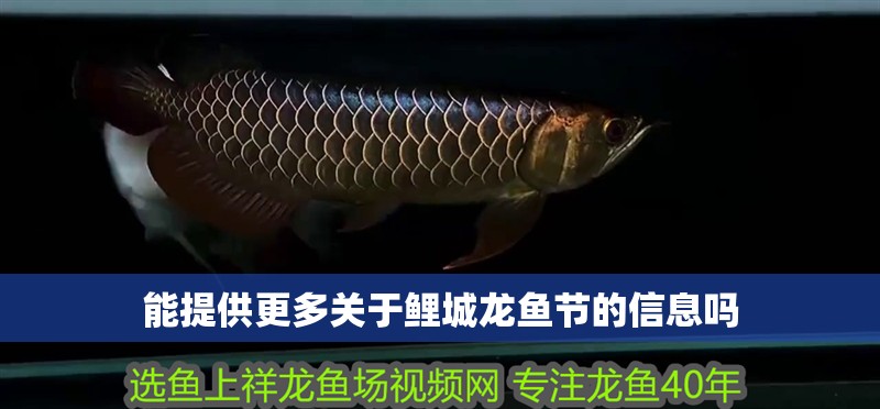 能提供更多關(guān)于鯉城龍魚(yú)節(jié)的信息嗎