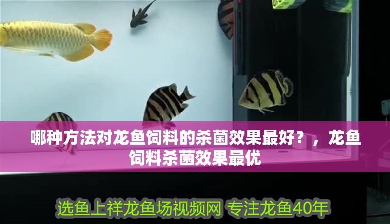 哪種方法對龍魚飼料的殺菌效果最好？，龍魚飼料殺菌效果最優