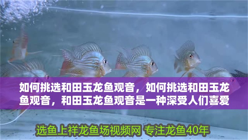 如何挑選和田玉龍魚(yú)觀音，如何挑選和田玉龍魚(yú)觀音，和田玉龍魚(yú)觀音是一種深受人們喜愛(ài)的佛教藝術(shù)品