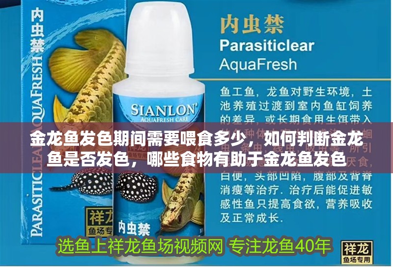 金龍魚發色期間需要喂食多少，如何判斷金龍魚是否發色，哪些食物有助于金龍魚發色