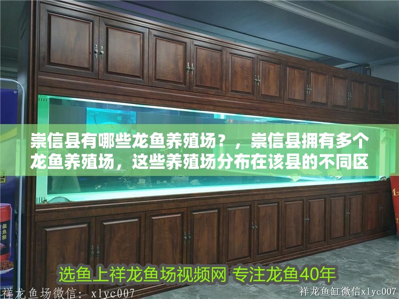崇信縣有哪些龍魚養殖場？，崇信縣擁有多個龍魚養殖場，這些養殖場分布在該縣的不同區域
