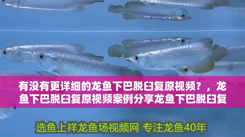 有沒有更詳細的龍魚下巴脫臼復原視頻？，龍魚下巴脫臼復原視頻案例分享龍魚下巴脫臼復原視頻