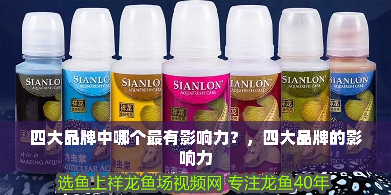 四大品牌中哪個最有影響力？，四大品牌的影響力