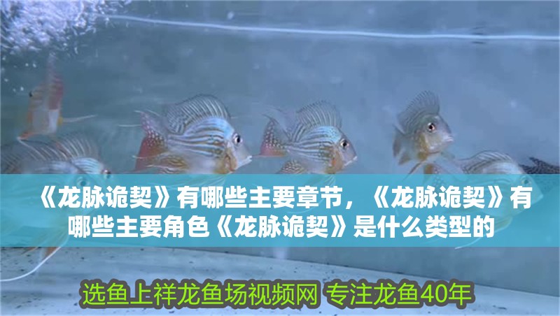 《龍脈詭契》有哪些主要章節(jié)，《龍脈詭契》有哪些主要角色《龍脈詭契》是什么類型的