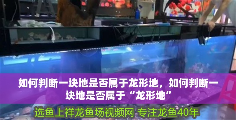 如何判斷一塊地是否屬于龍形地，如何判斷一塊地是否屬于“龍形地”