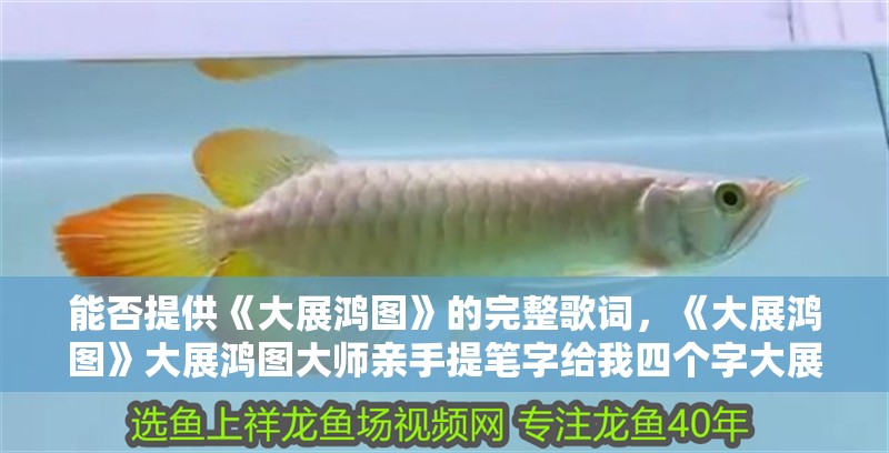 能否提供《大展鴻圖》的完整歌詞,《大展鴻圖》大展鴻圖大師親手提筆字給我四個(gè)字大展鴻圖