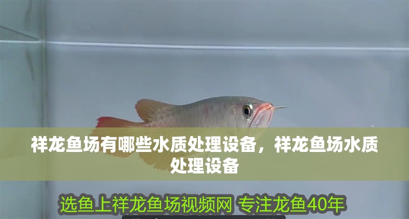 祥龍魚場有哪些水質處理設備，祥龍魚場水質處理設備