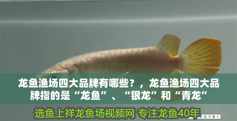 龍魚漁場四大品牌有哪些？，龍魚漁場四大品牌指的是“龍魚”、“銀龍”和“青龍”