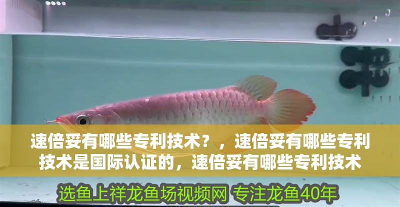 速倍妥有哪些專利技術？，速倍妥有哪些專利技術是國際認證的，速倍妥有哪些專利技術