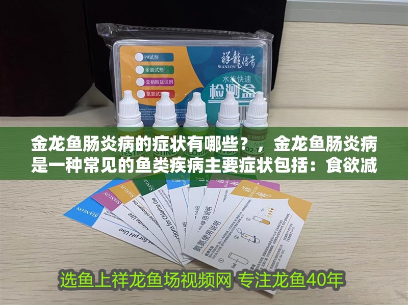 金龍魚腸炎病的癥狀有哪些?,金龍魚腸炎病是一種常見的魚類疾病主要癥狀包括:食欲減退