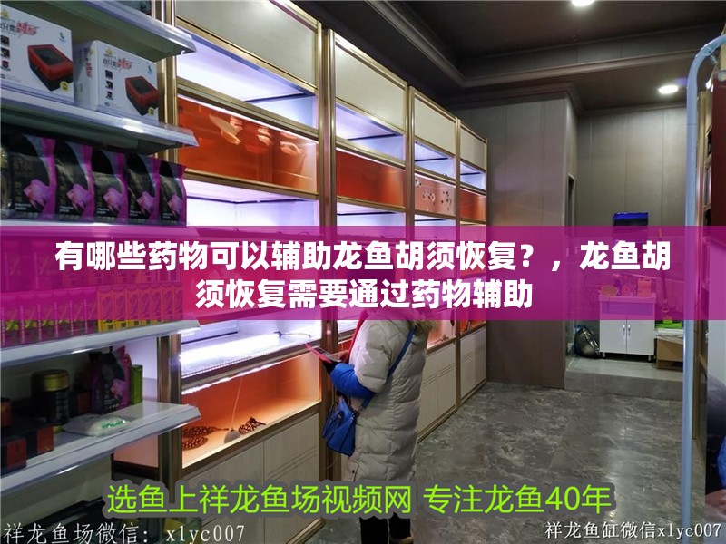 有哪些藥物可以輔助龍魚胡須恢復？，龍魚胡須恢復需要通過藥物輔助