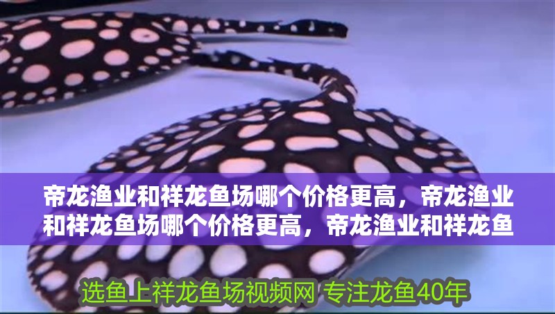 帝龍漁業和祥龍魚場哪個價格更高，帝龍漁業和祥龍魚場哪個價格更高，帝龍漁業和祥龍魚場哪個更好