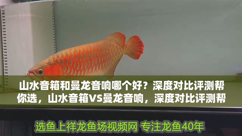 山水音箱和曼龍音響哪個好？深度對比評測幫你選，山水音箱VS曼龍音響，深度對比評測幫你選出最佳選擇