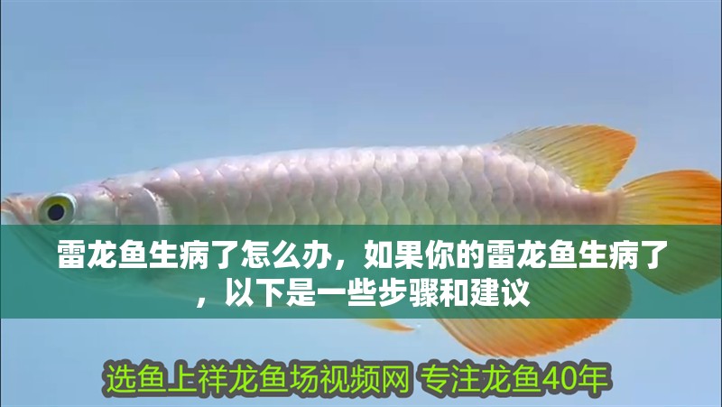 雷龍魚生病了怎么辦，如果你的雷龍魚生病了，以下是一些步驟和建議