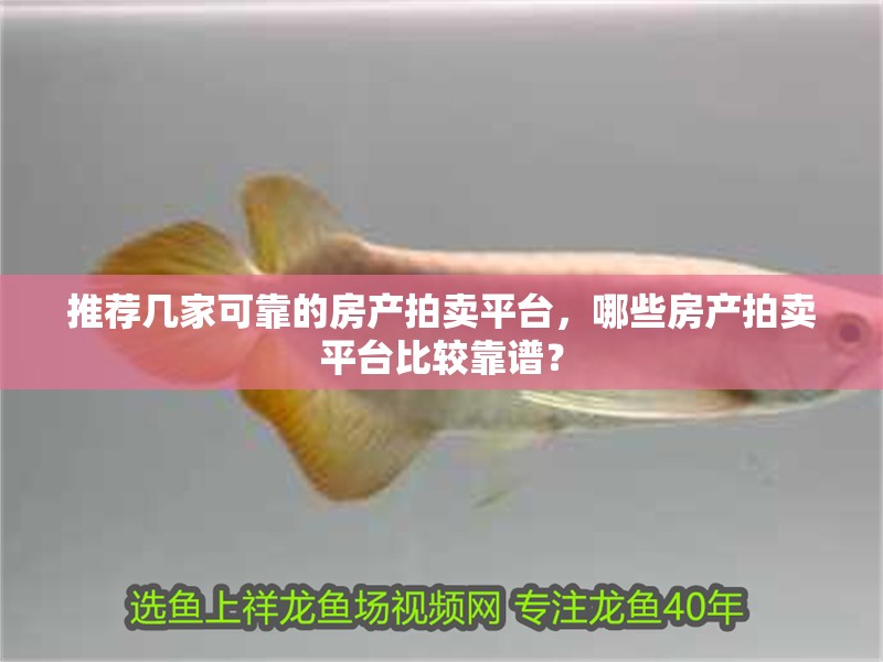 推薦幾家可靠的房產(chǎn)拍賣平臺，哪些房產(chǎn)拍賣平臺比較靠譜？