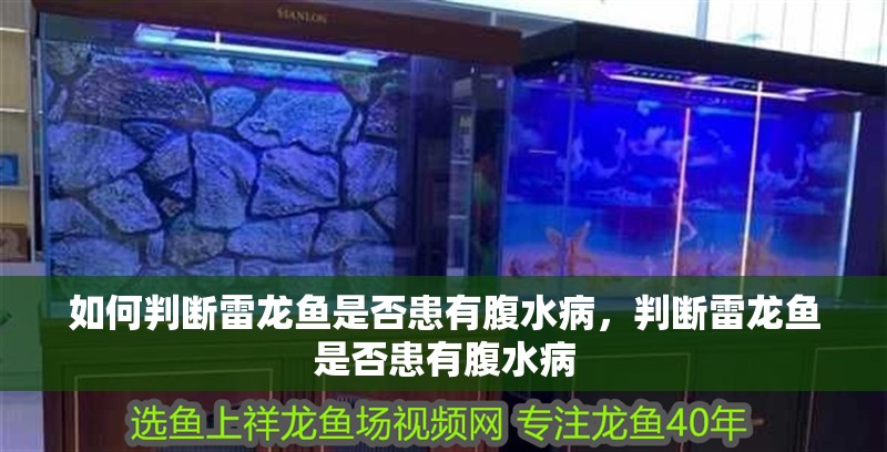 如何判斷雷龍魚是否患有腹水病，判斷雷龍魚是否患有腹水病
