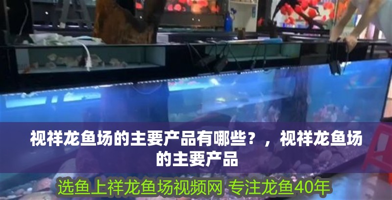 視祥龍魚場的主要產(chǎn)品有哪些?,視祥龍魚場的主要產(chǎn)品