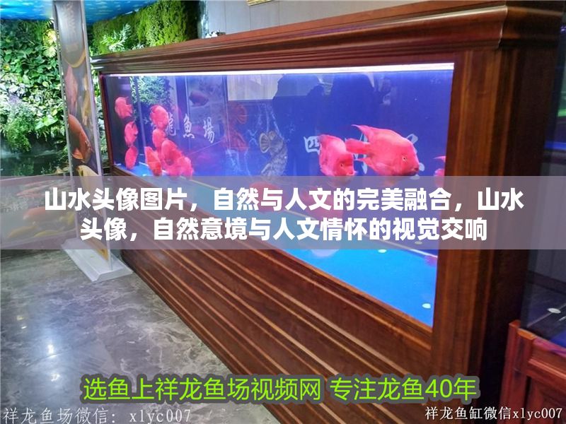 山水頭像圖片，自然與人文的完美融合，山水頭像，自然意境與人文情懷的視覺交響